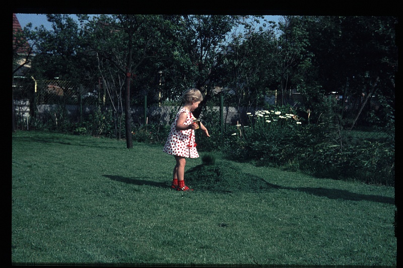 26.Regensburg jul 1966 Brigitte.JPG